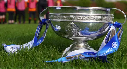 The O'Duffy Cup, the trophy for the All-Ireland senior camogie championship, photographed in 2023.